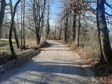 poljska pot Slovenska vas (5)